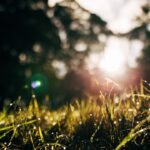 After the departure of Tim Cook, how will Apple change under ‘product guy’ John Ternus?