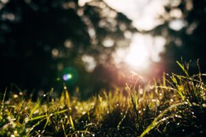 After the departure of Tim Cook, how will Apple change under ‘product guy’ John Ternus?