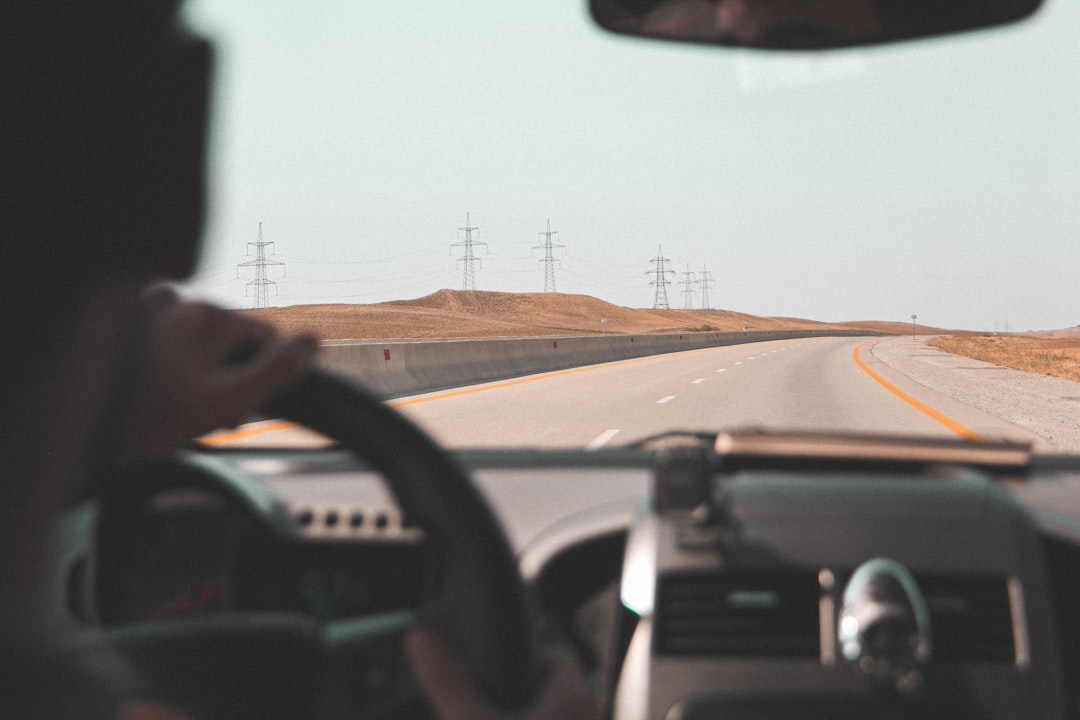 Drive slower, go electric, don’t drive at all? Americans weigh options for saving gas