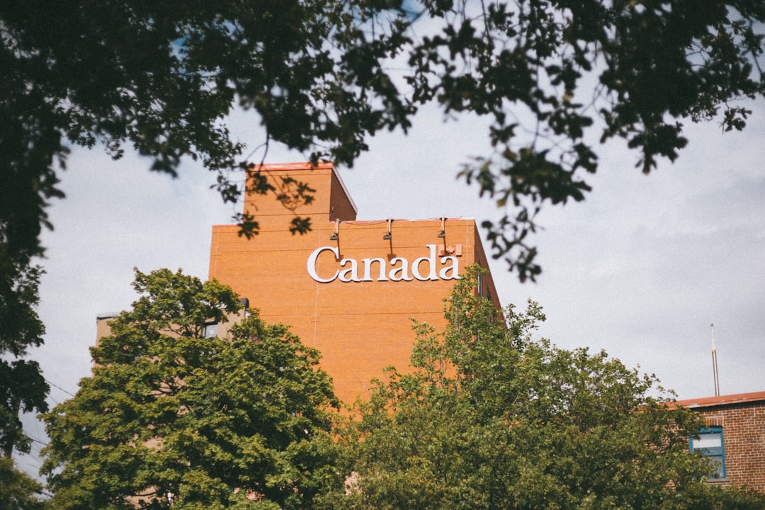 green trees near brown building