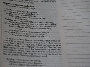 ‘If it wasn’t for us, you’d be speaking French’, King and Trump joke at dinner