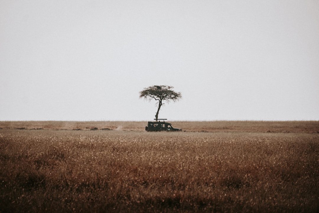 ‘Really feeling the love’ – Savannah Guthrie returns to NBC as search for mother goes on