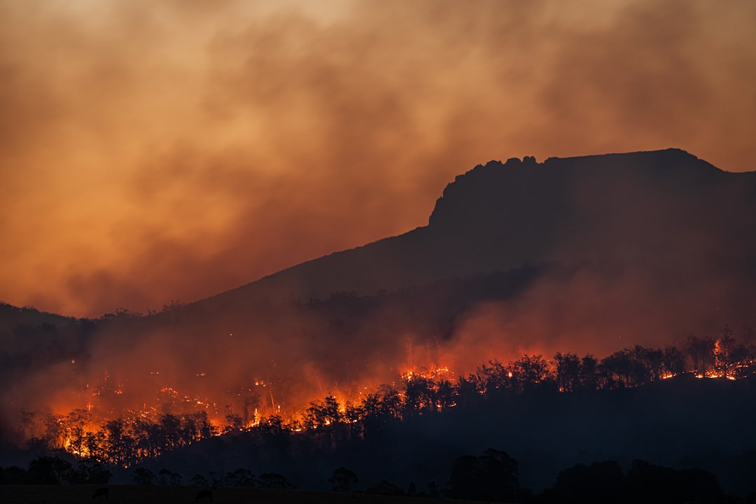 Critical fire weather complicates firefighting efforts in massive Utah wildfire
